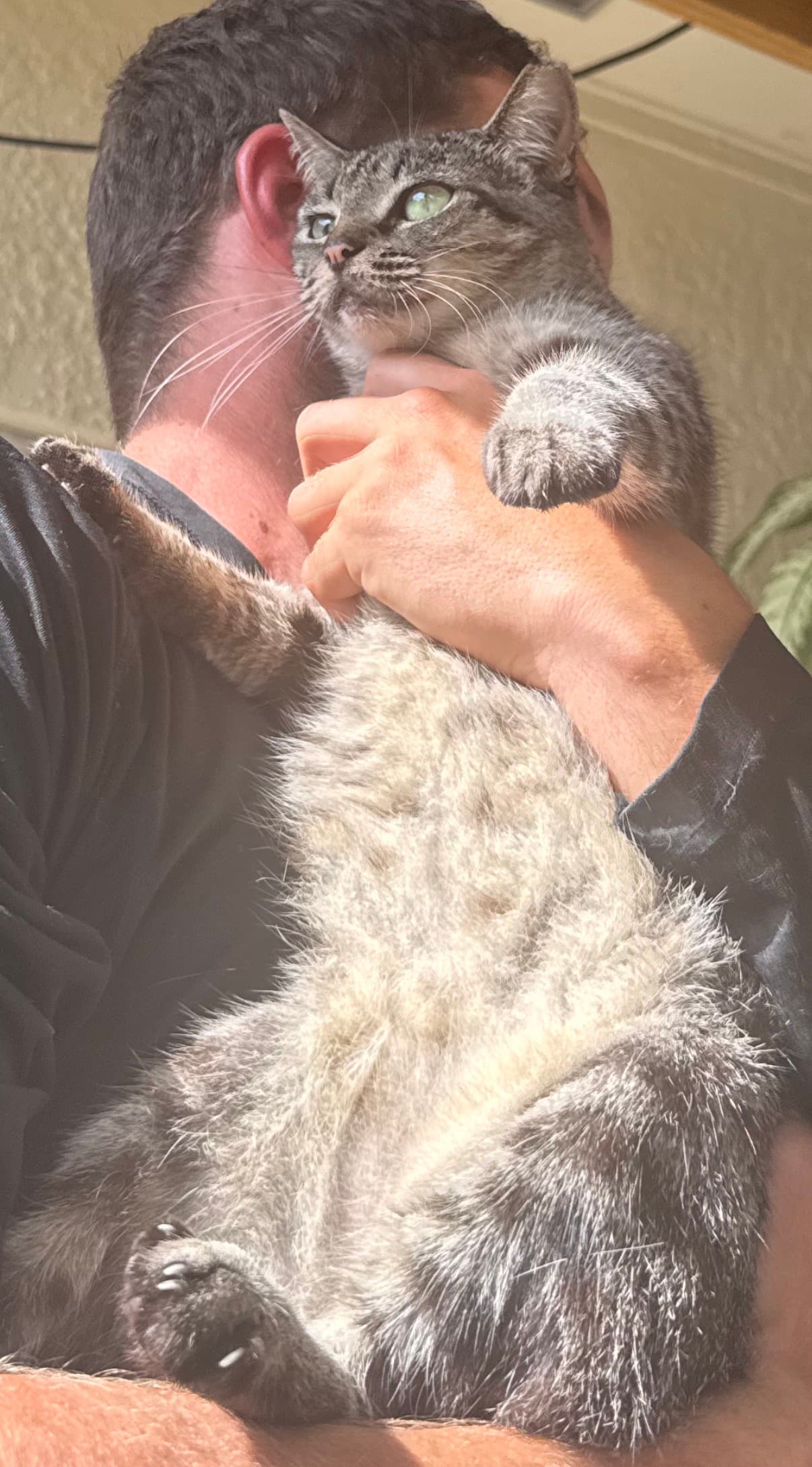 Muffin being held